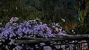 attachment-67039a9a9521d830d62ab6c9