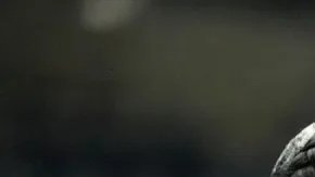 exc-675a975b35e4dc5fc7203e03